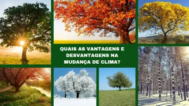 Ponto nº QUAIS AS VANTAGENS E DESVANTAGENS NA MUDANÇA DE CLIMA?